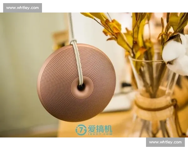 以胜利VS880为核心的多维解析与音质体验升级全景解读
